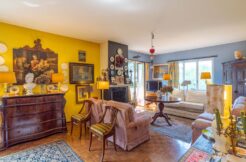 CHIASSO - DIMORA, APPARTAMENTI, TERRENO?