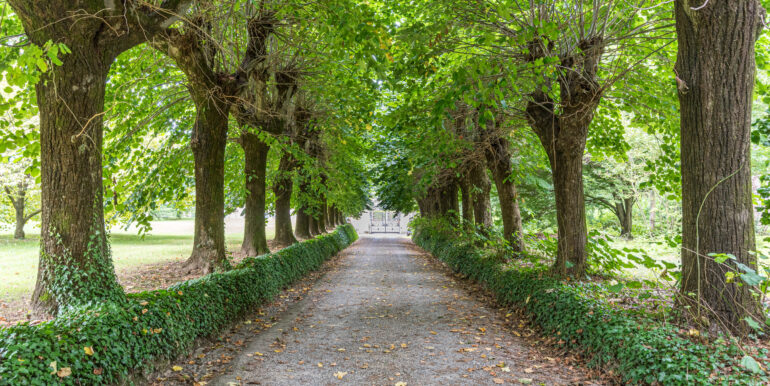 Roda House-villa Airolo-via pozzi 11